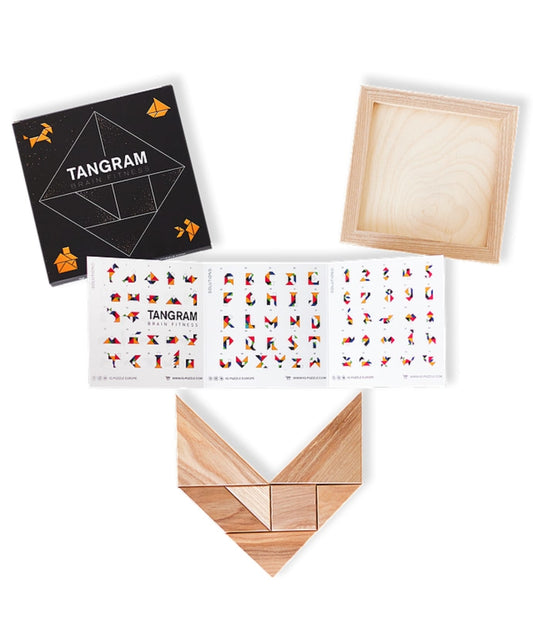 TANGRAM IQ PUZZLE + 73 shape card