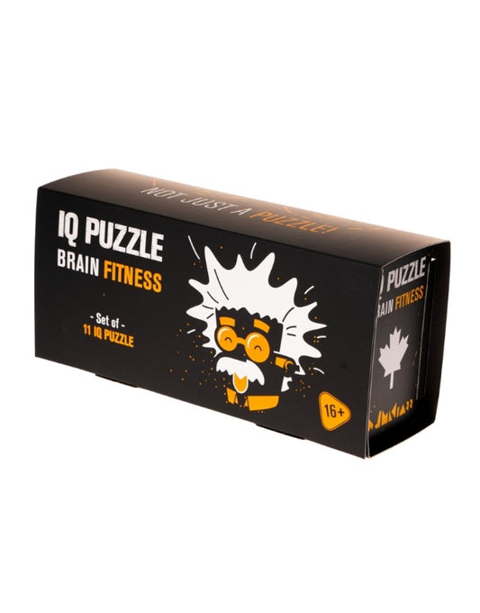 Pack of 11 puzzles to choose from