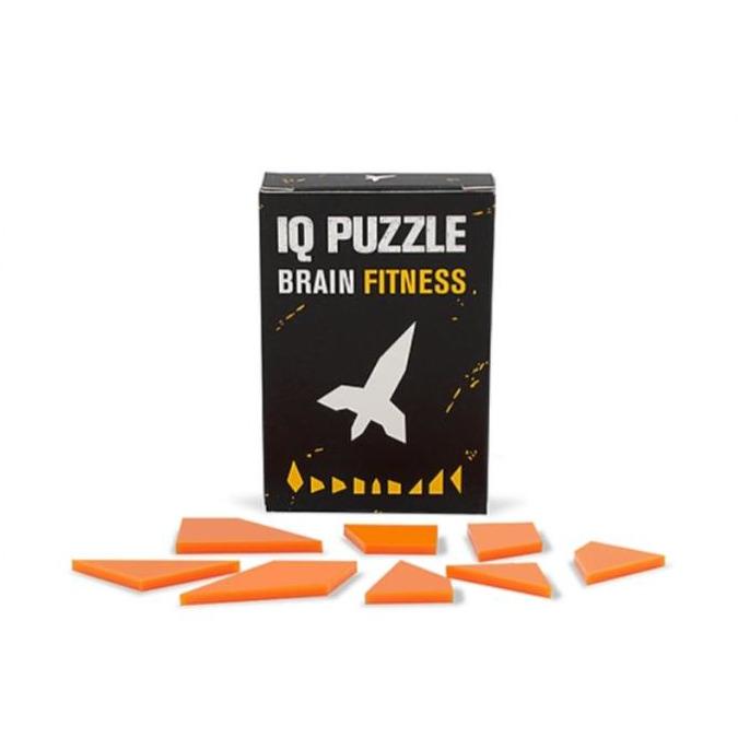 IQ PUZZLE - חללית