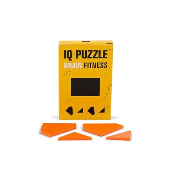 IQ PUZZLE - מלבן