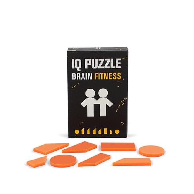 IQ PUZZLE - תאומים