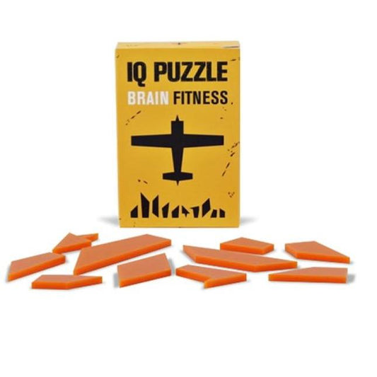 IQ PUZZLE - מטוס